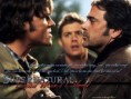/album/wallpapers/deadman-s-blood-supernatural-1214490-1024-768-jpg/